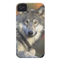 The Wolf iPhone 4 Cases
