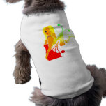 The woman in a red dress pet clothes