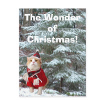 The Wonder of Christmas! postcards by myrtieshuman The Wonder of Christmas! postcards