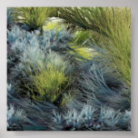 The Wonder of Prairies posters