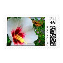 THE WONDERS OF NATURE... postage