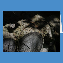 The wood pile cards