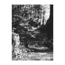 The Wooded Path Gallery Wrapped Canvas