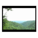 the Woods ~ 11 Post Card