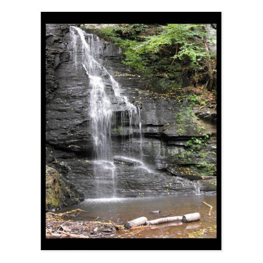the Woods ~ 17 Postcards