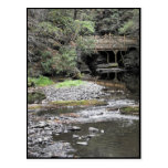 the Woods ~ 1 Post Card