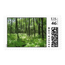 The Woods postage by gubanich The Woods postage