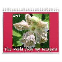 The World from my Backyard calendar cover