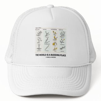 The World Is A Budding Place (Types Of Buds) hat