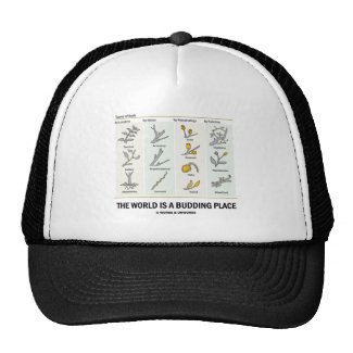 The World Is A Budding Place (Types Of Buds) Hat