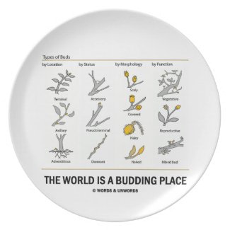 The World Is A Budding Place (Types Of Buds) Dinner Plates
