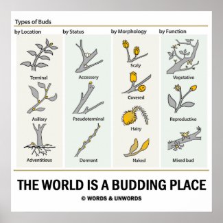 The World Is A Budding Place (Types Of Buds) Posters
