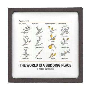 The World Is A Budding Place (Types Of Buds) Premium Jewelry Box