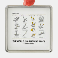 The World Is A Budding Place (Types Of Buds) Square Metal Christmas Ornament