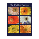 The world of gerberas postcards