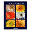 The world of gerberas posters