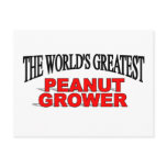 The World's Greatest Peanut Grower Post Card