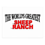 The World's Greatest Sheep Ranch Postcards