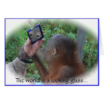 The World's Looking Glass: Face in the Mirror cards