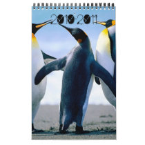 The year calendar