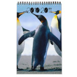 The year calendars