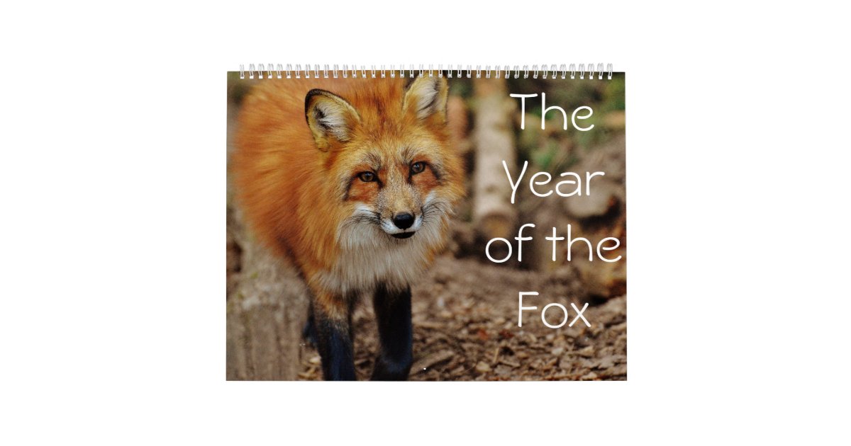 The Year of The Fox Calendar Zazzle