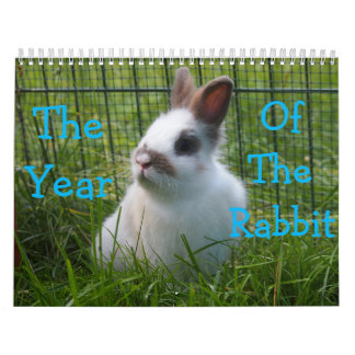 Bunny Rabbit Calendars Zazzle