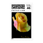 The Yellow Rose of Texas Postage