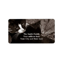 The Yin Yang Cats Custom Address Label
