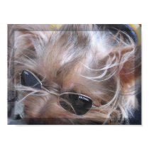 The Yorkie Style posters