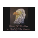 The Young Eagle Post Card