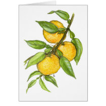 The Yuzu Collection cards