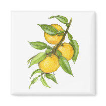 The Yuzu Collection magnets by Szubogi The Yuzu Collection magnets