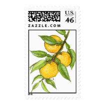 The Yuzu Collection postage by Szubogi The Yuzu Collection postage