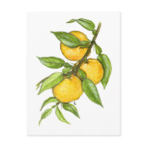 The Yuzu Collection postcards by Szubogi The Yuzu Collection postcards