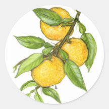 The Yuzu Collection Round Sticker