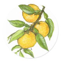 The Yuzu Collection stickers