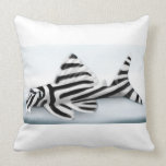 The Zebra Pleco Fish Pillow