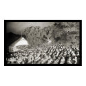 Theater Night Scene Kansas City, MO Photo 1907 posters