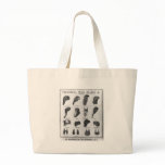 Theatrical Wigs - c 1875 Canvas Bag