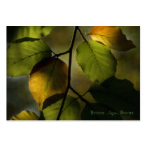 Theatrum Botanicum Beech ACEO Artist Trading Cards business cards by SabineSt Theatrum Botanicum Beech ACEO Artist Trading Cards business cards