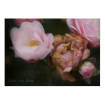 Theatrum Botanicum Rose ACEO Artist Trading Cards business cards
