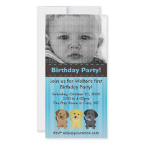 Thee Labradors Blue Birthday Invitation Photo Cards