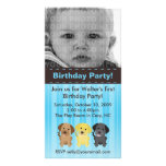 Thee Labradors Blue Birthday Invitation Photo Cards