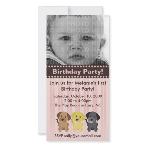 Thee Labradors Pink Birthday Invitation photocard