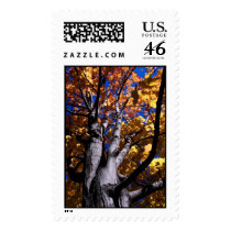 theetree postage