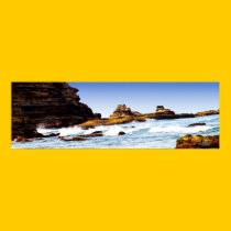 ~THEIR SEA WINGS~ posters