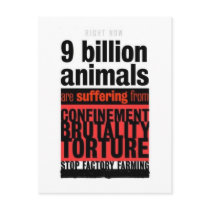 Their Suffering postcards