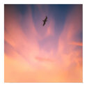 TheJourney Home posters