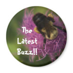 TheLatest Buzz!! Magnet